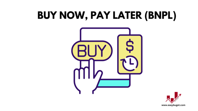Buy Now, Pay Later (BNPL)